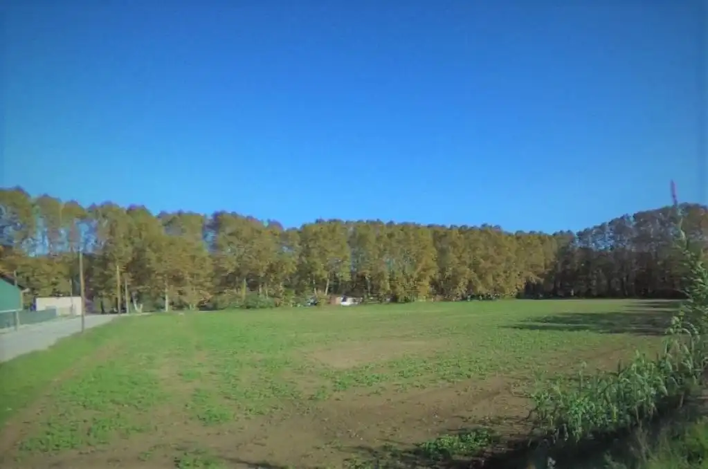 Rustikales Grundstück zum Verkauf in ESTACIO, imagen 6