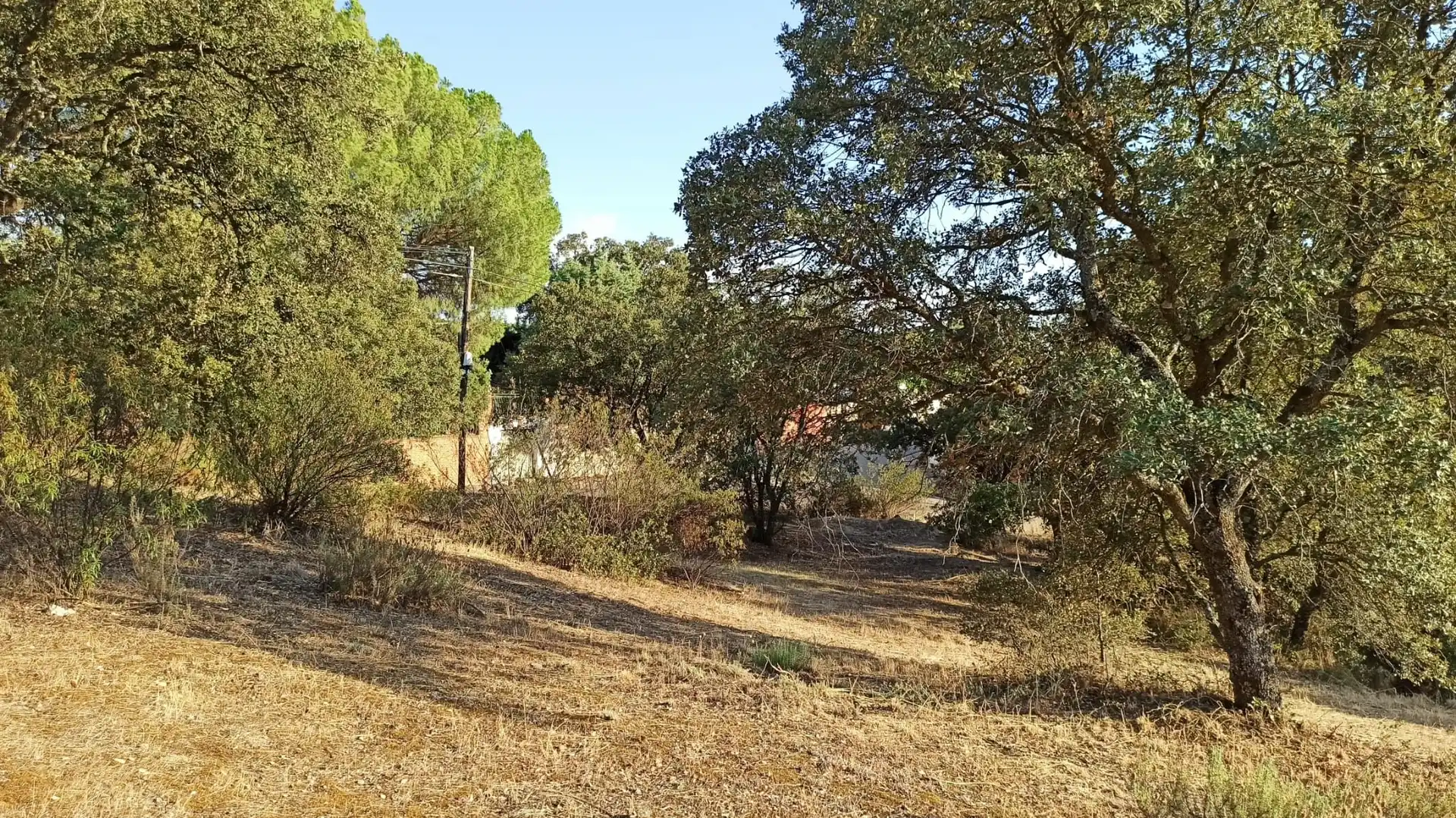 Terreni e lotti in vendita a Calalberche