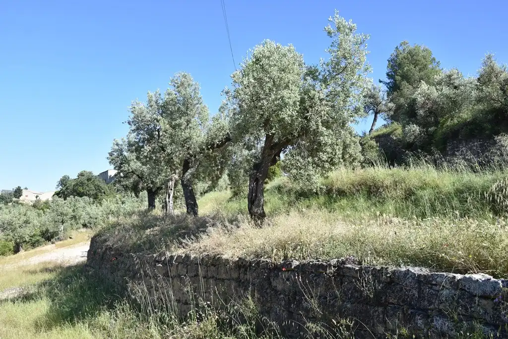 Terreni e lotti in vendita a Cretas, imagen 4