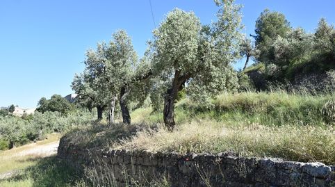 Finca rústica en Cretas, imagen 4