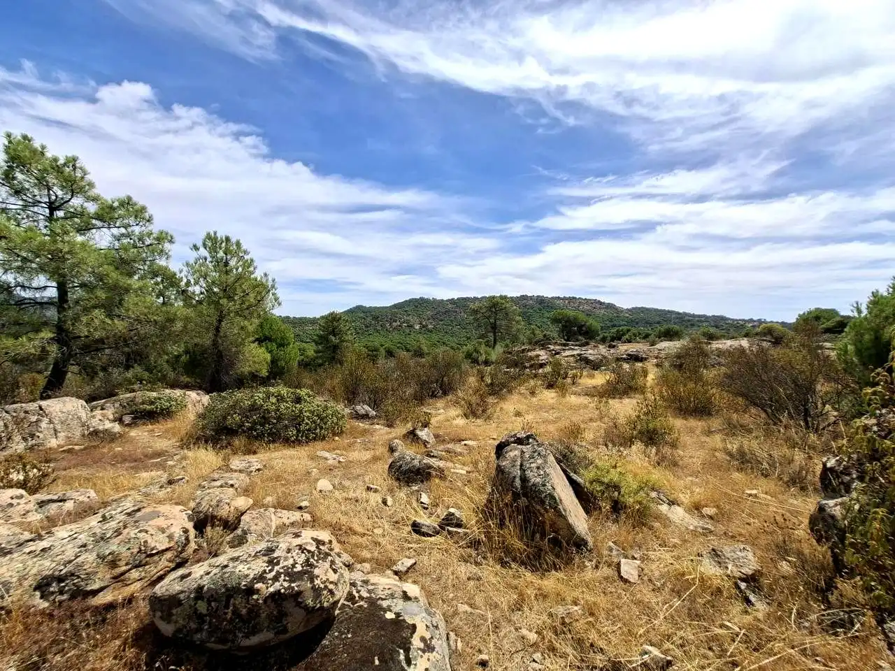 Terreny rústic en venda a Navahoncil