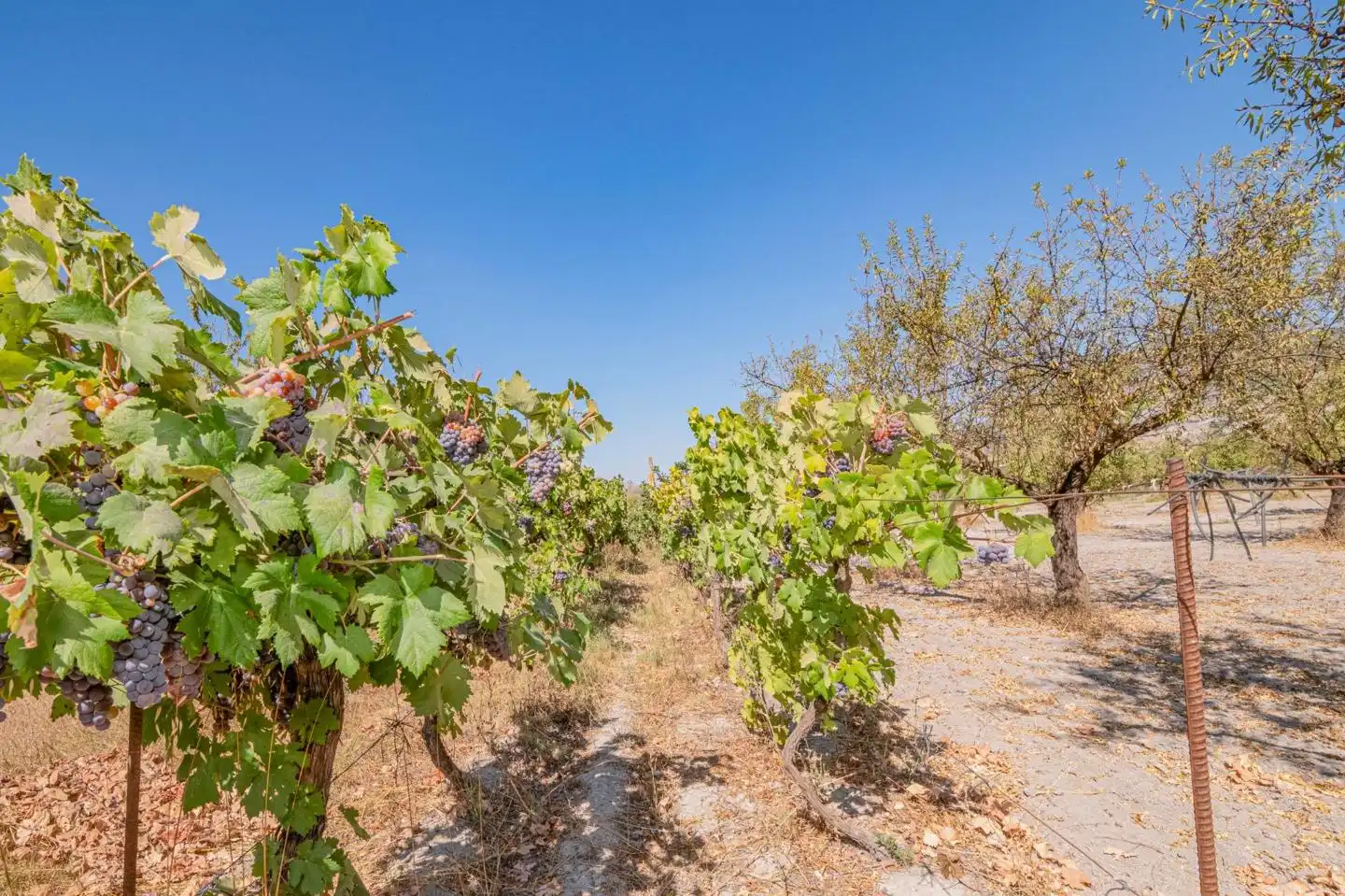 Country house for sale in Calle de Rocio Durcal, imagen 44