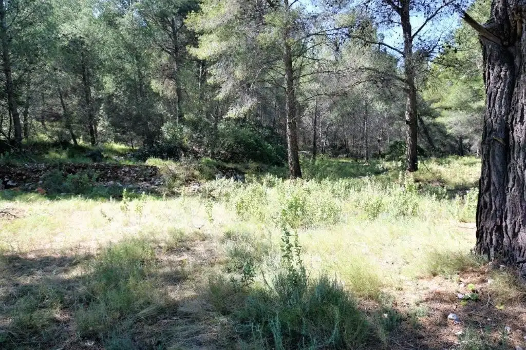 Terreny residencial en venda a Callosa d'en Sarrià, imagen 26