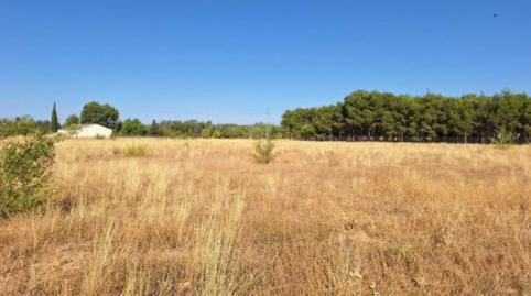 Foto 4 de Residencial en venta en San Pedro, Albacete