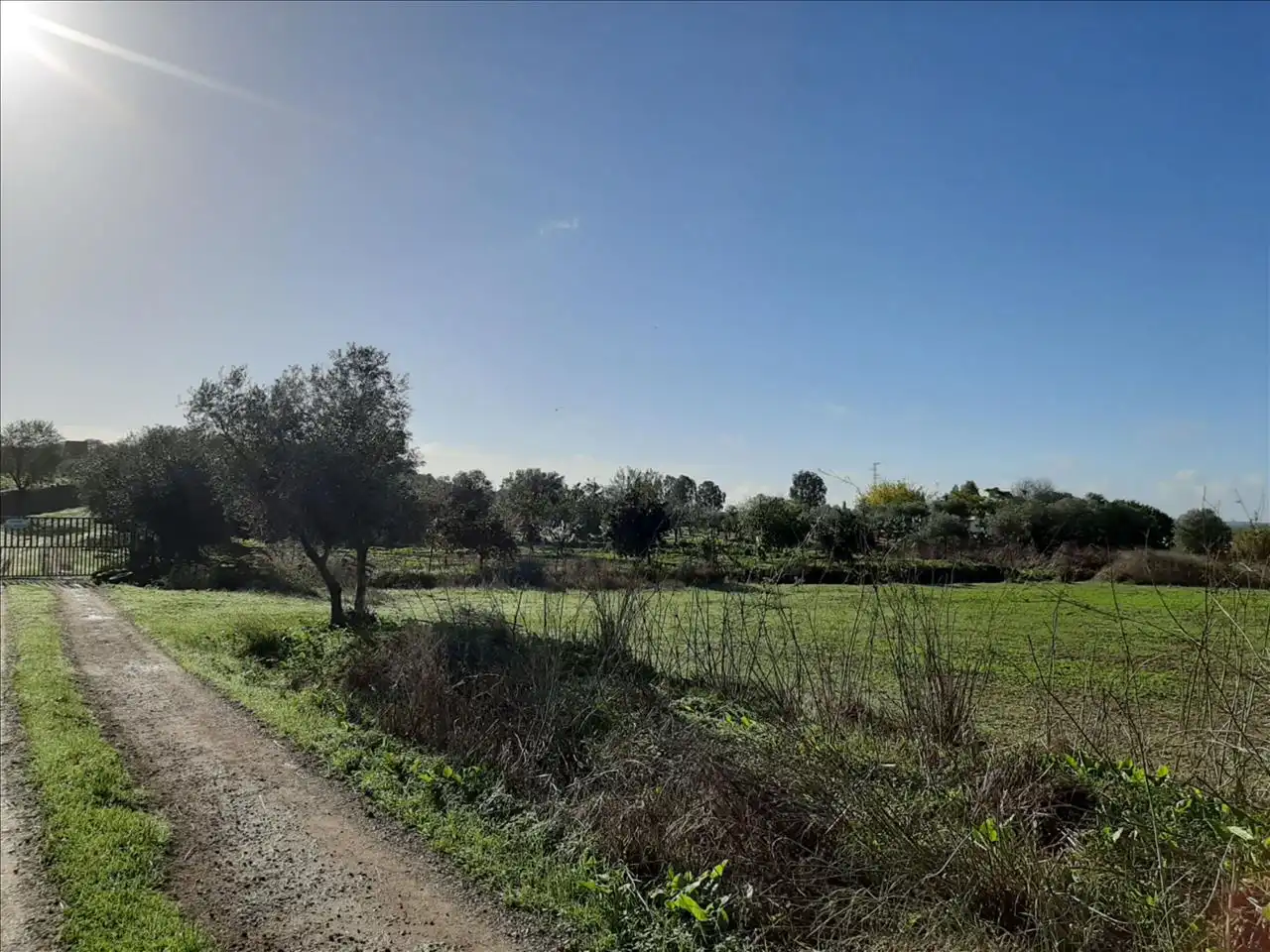 Residencial en venta en Polígono 49, Olivenza