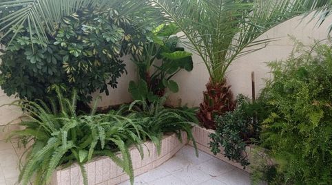 Foto 2 de Casa o chalet en venta en Calle Severo Ochoa, Zona Papa Luna - Platja del Gurugú, Benicarló