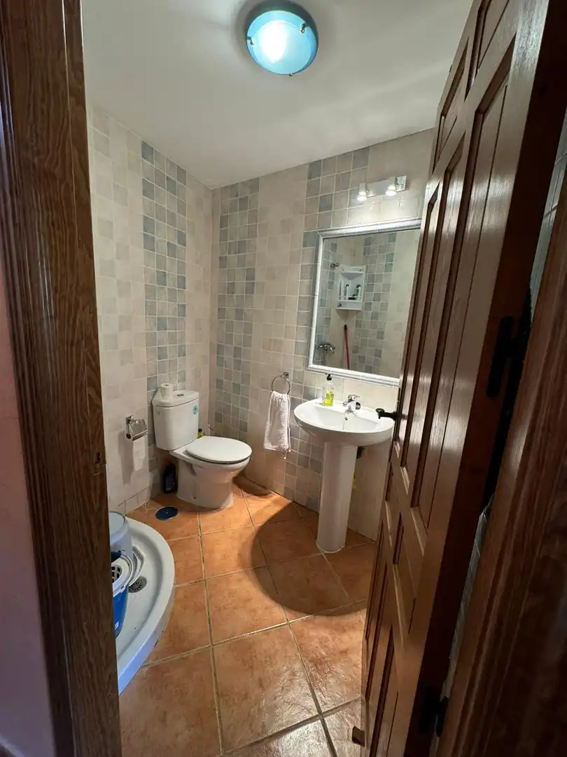 Bathroom of Detached homes for sale in Alocén  with Heating, Storage room and Balcony