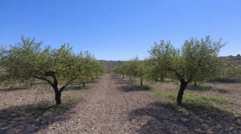 Foto 2 de Terreno en venta en Barqueros, Murcia Capital