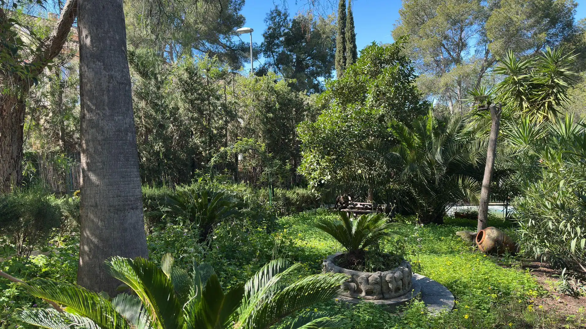 Finca rústica en venta en Santo Angel