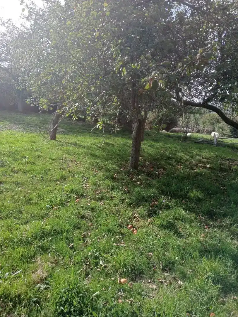 Casa o xalet en venda en Laviana amb Balcó