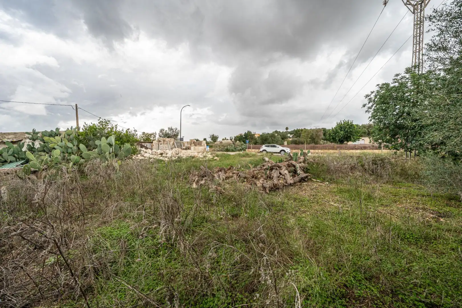 Rural land for sale in Felanitx Poble, imagen 14