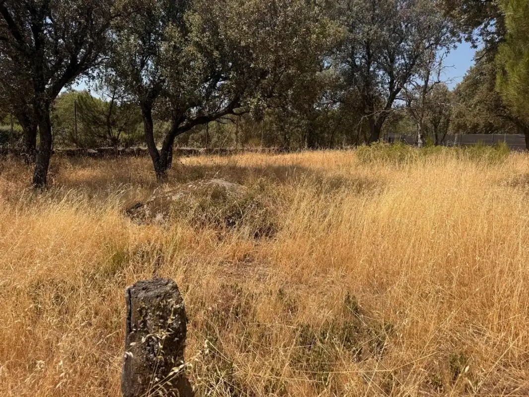 Residential land for sale in Camino de los Barrizales, imagen 3