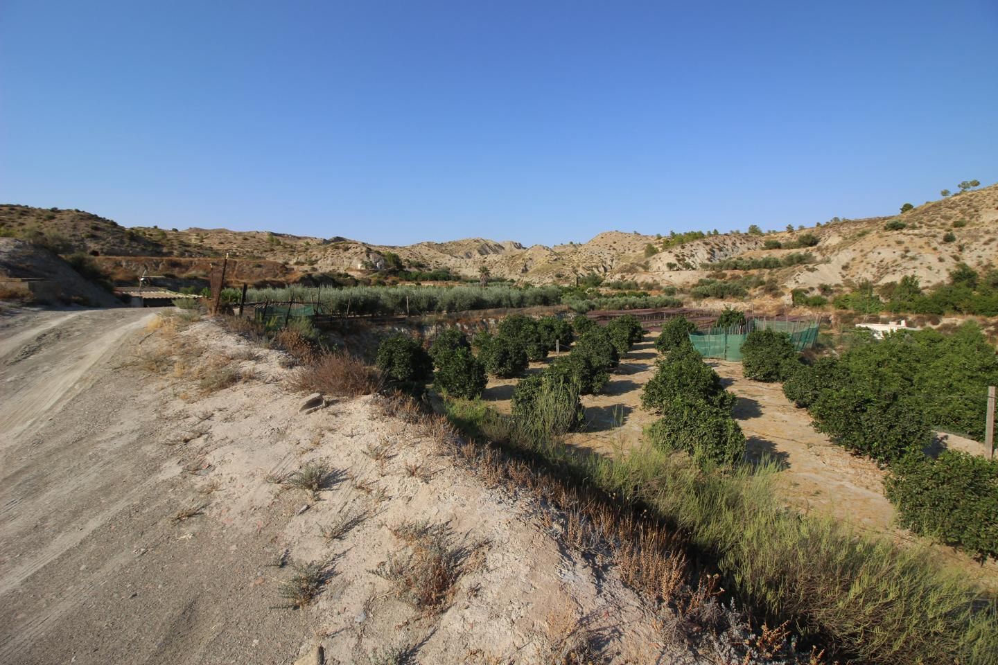 Residential for sale in Terque