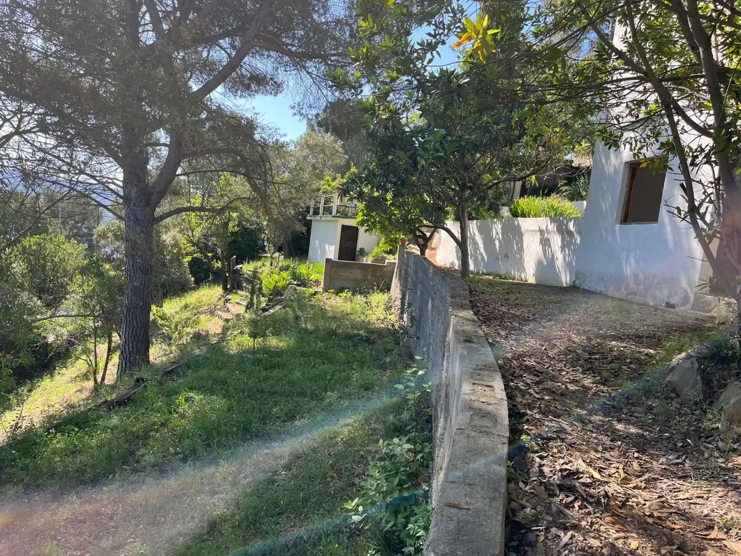 Casa amb jardí en venda a Circumval·lacio, imagen 2