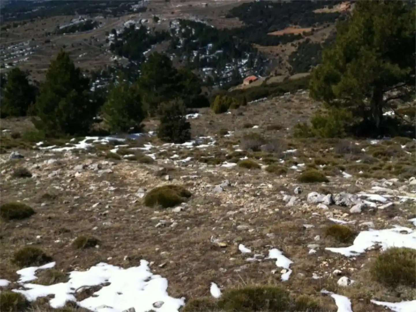 Terreno en venta en Mosqueruela