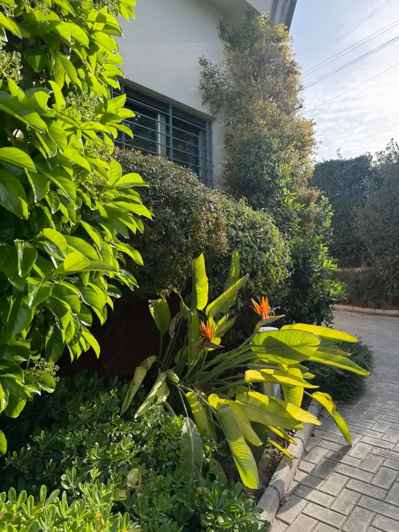 Jardí de Casa o xalet en venda en Elche / Elx amb Aire condicionat, Calefacció i Jardí privat