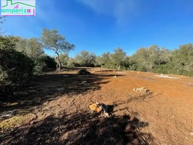 Rural land for sale in Felanitx Poble, imagen 6