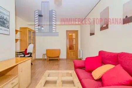 Living room of Apartments for sale in Granada