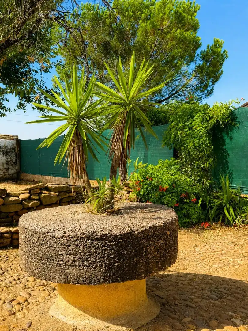 Jardí de Casa o xalet en venda en Montoro amb Jardí privat, Traster i Moblat