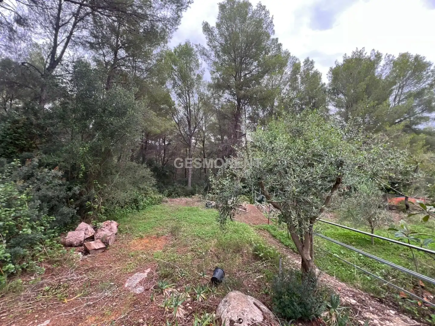 Finca rústica en venta en Esporles con Terraza