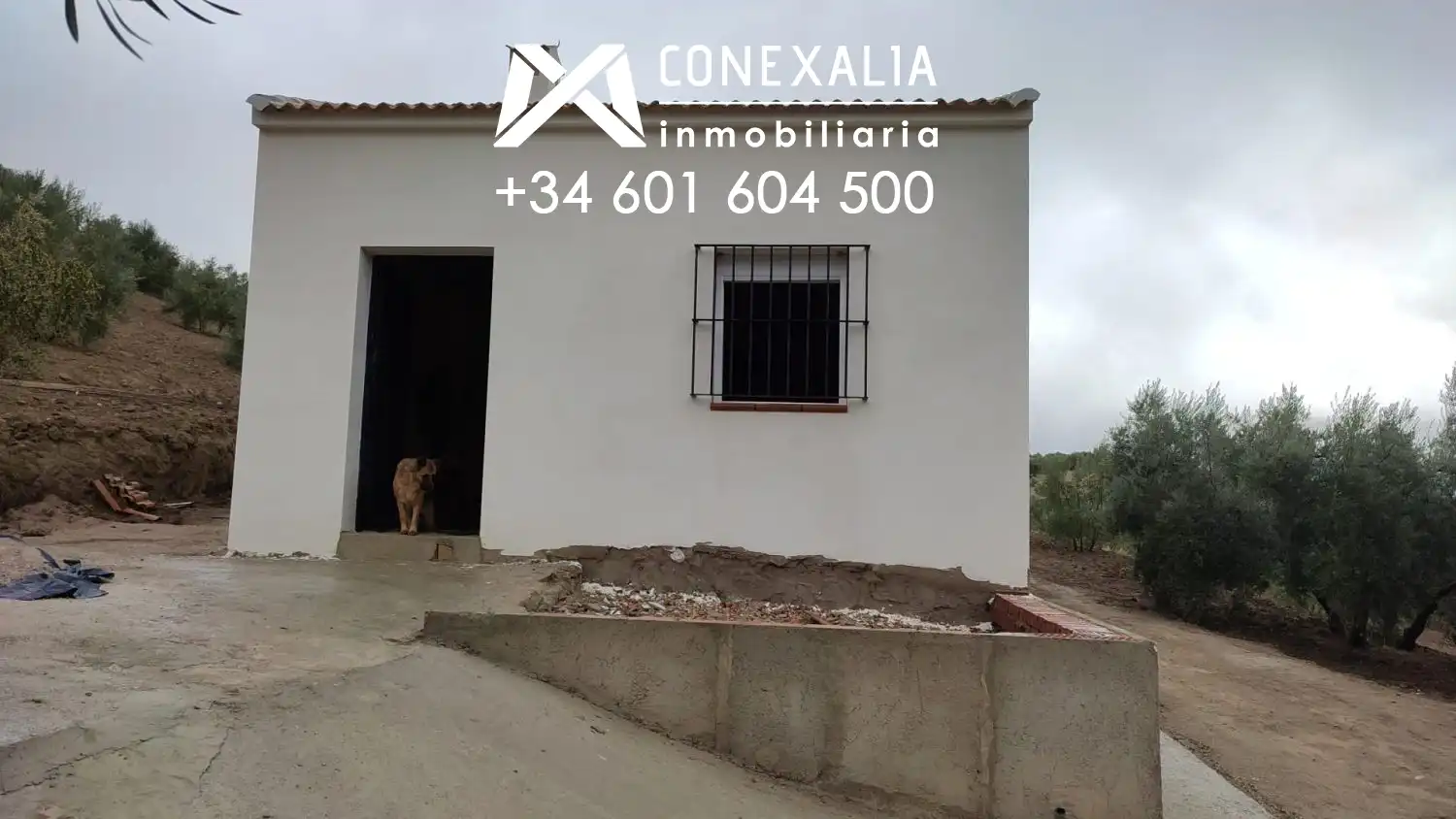 Exterior view of Country homes for sale in Alcalá del Valle