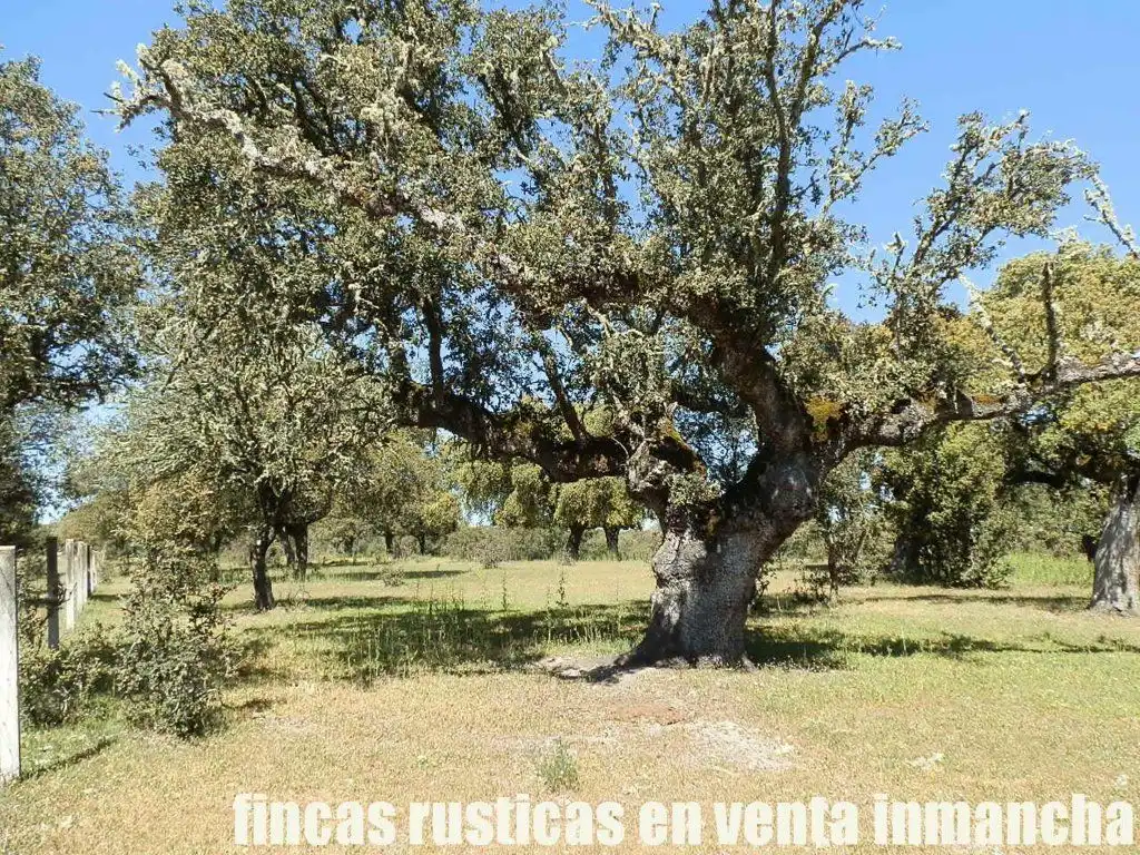 Terreno rustico in vendita a Ciudad Rodrigo, imagen 8