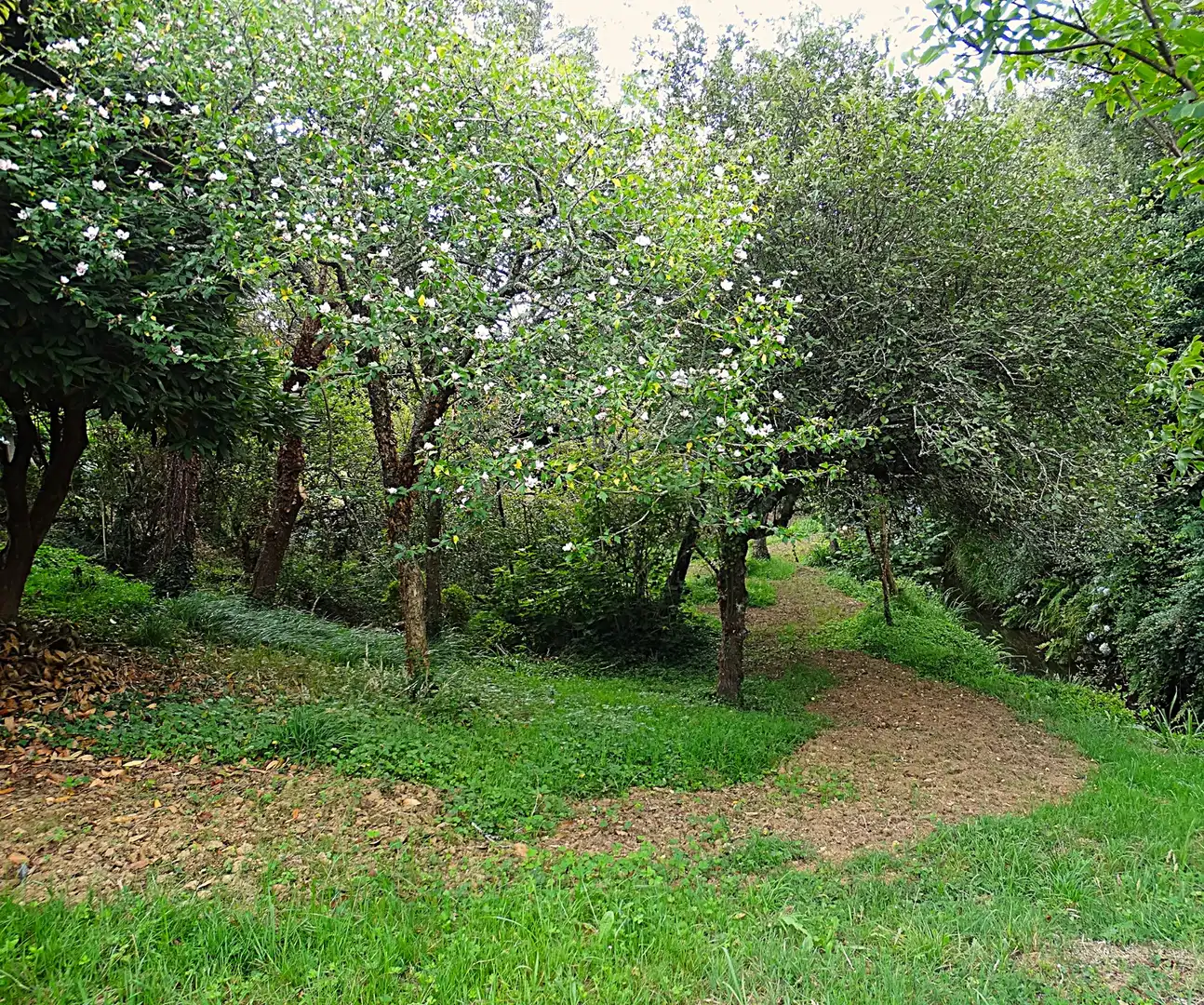 Finca rústica en venda en Narón amb Calefacció, Jardí privat i Parquet