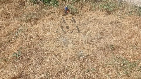Photo 4 of Residential for sale in Jauja, Lucena