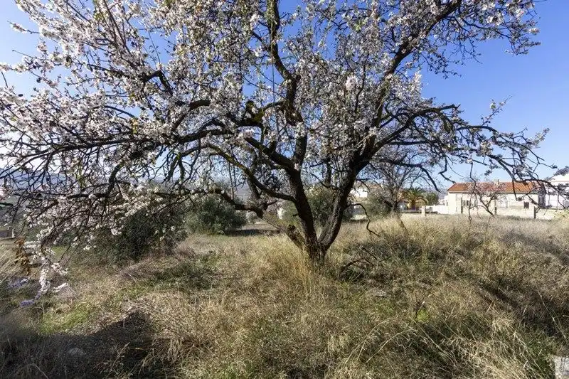Terreni e lotti in vendita a Avenida de Andalucía, imagen 7