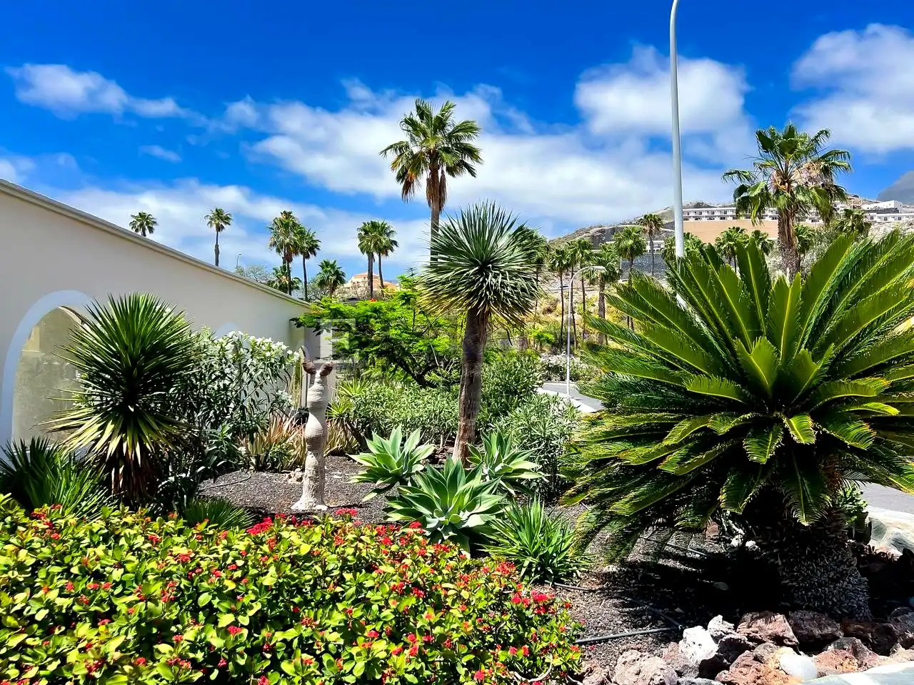 Piso con piscina en venta en Costa Adeje, imagen 34
