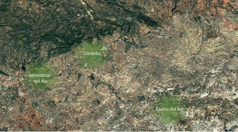 Photo 5 of Land for sale in C/ Pintor Peñalosa , Huerta de la Reina - Trassierra, Córdoba