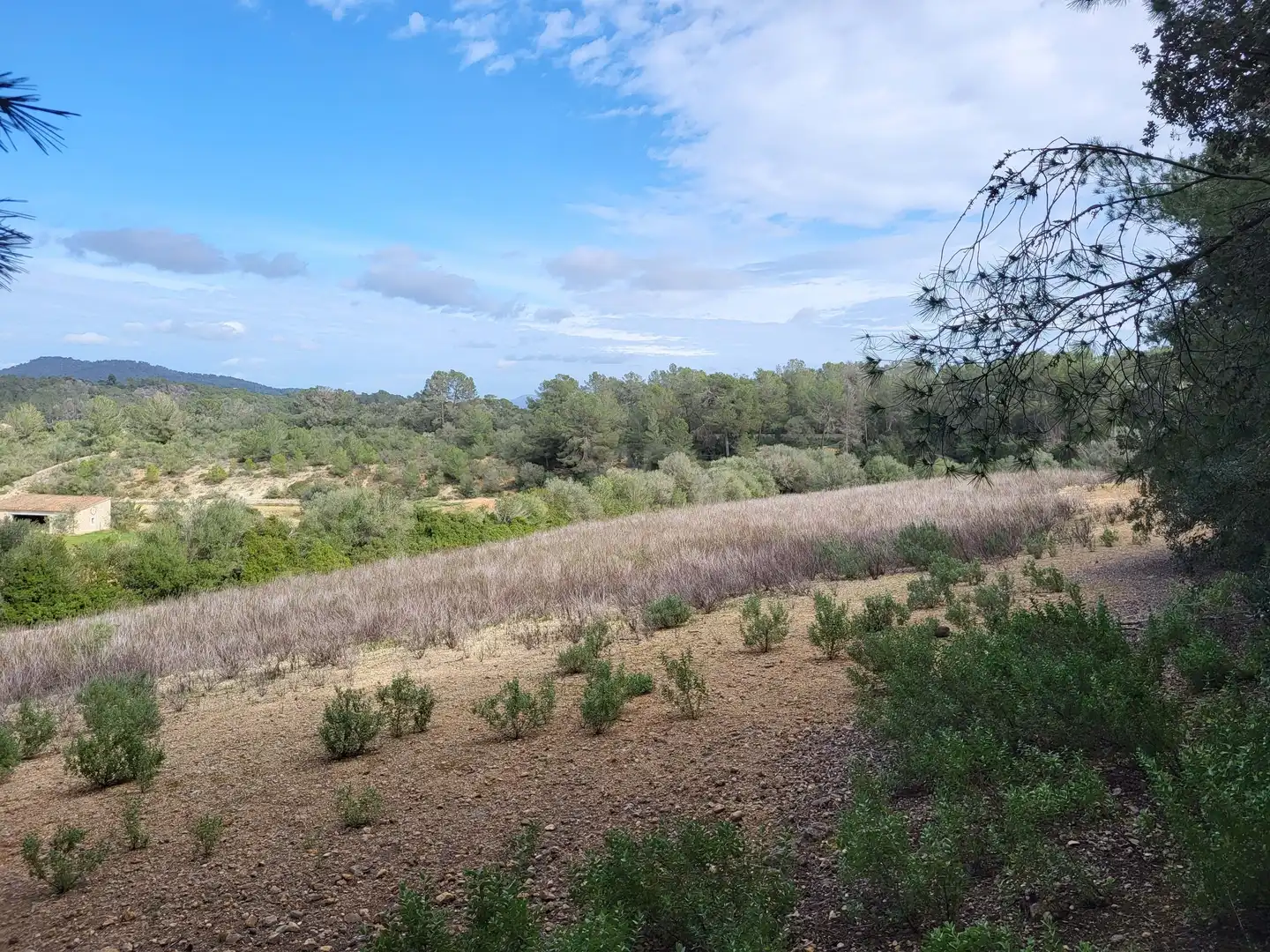 Residential for sale in Sant Joan