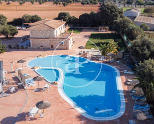 Piscina de Casa o xalet de lloguer en Marratxí amb Terrassa i Piscina