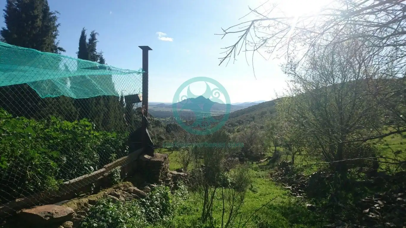 Xalet amb jardí en venda a Calle Buenavista, imagen 16