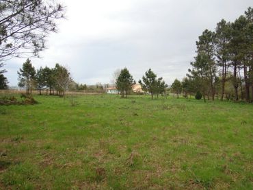 Terrenys i solars en venda a Brión