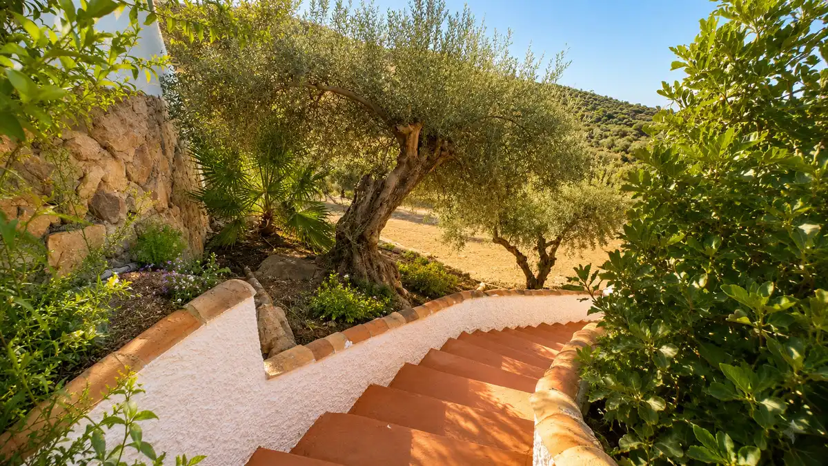 Jardín de Finca rústica en venta en Málaga con Aire acondicionado y Calefacción