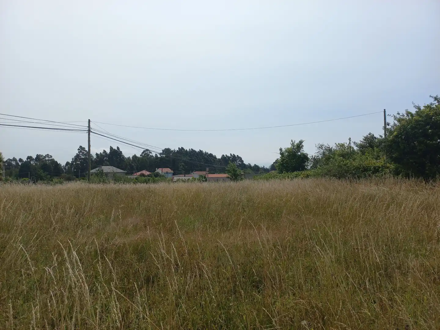 Residential for sale in Miño