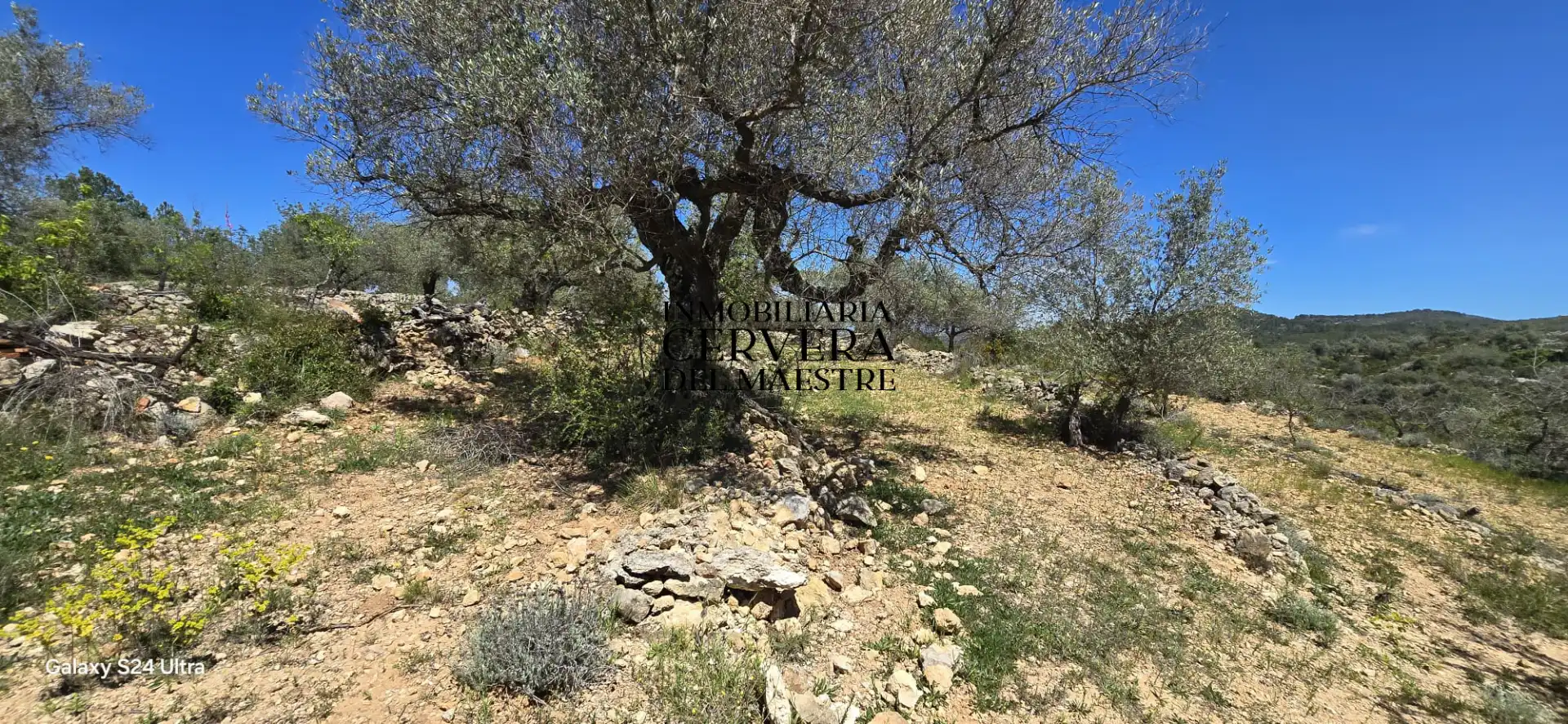Finca rústica en venda en Cervera del Maestre amb Moblat