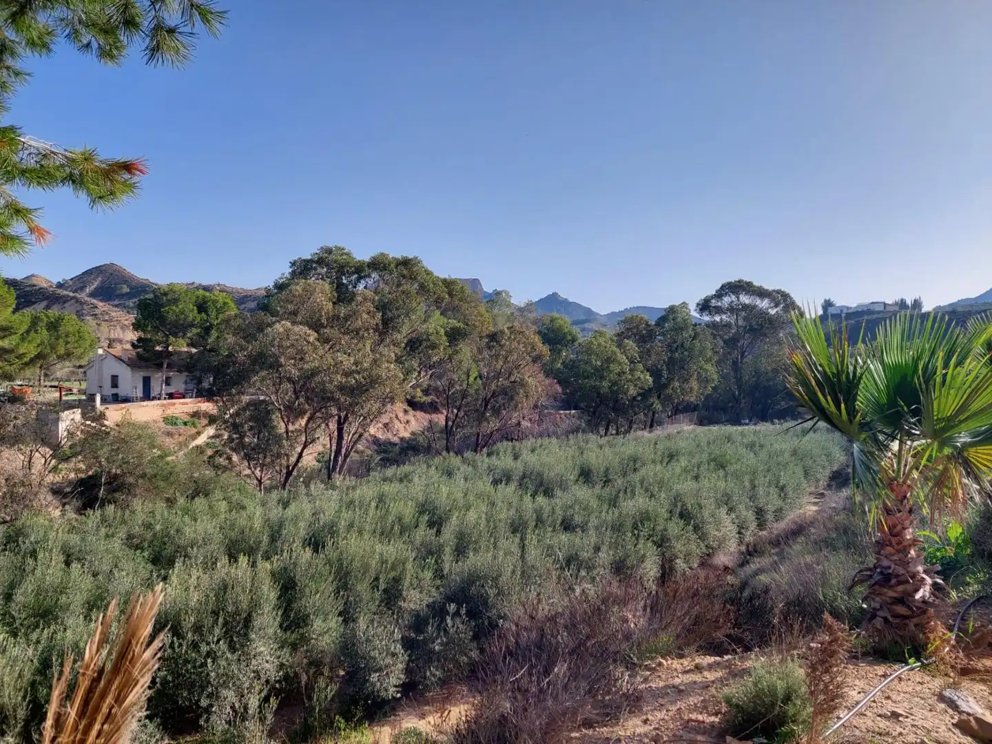 Exterior view of Country homes for sale in Murcia  with Air Conditioner, Heating and Private garden