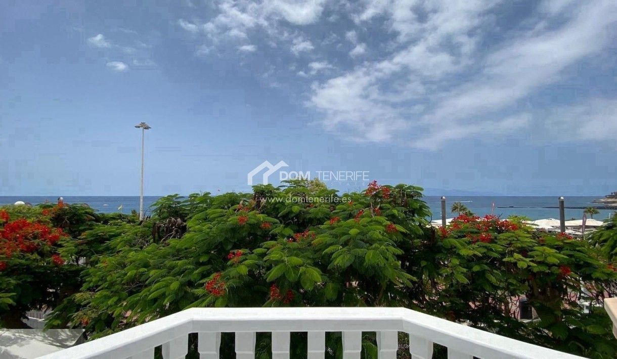 Vista exterior de Casa o xalet en venda en Adeje amb Terrassa, Piscina i Moblat