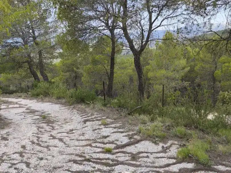 Casa o xalet en venda en Huéscar amb Jardí privat, Piscina i Moblat