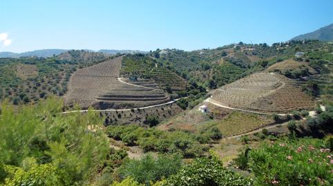 Foto 3 de Casa o xalet en venda a Frigiliana, Málaga