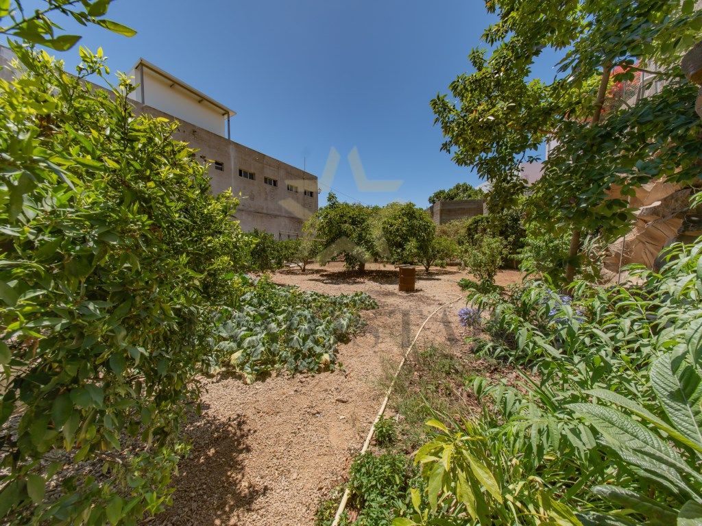 Garden of House or chalet for sale in San Miguel de Abona  with Private garden and Terrace