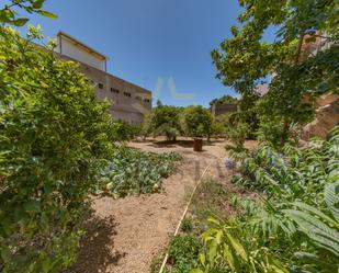 Garden of House or chalet for sale in San Miguel de Abona  with Private garden and Terrace