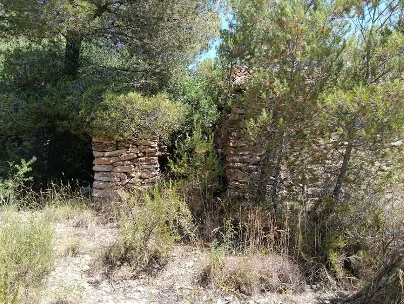 Terrain rustique à vendre à Tivenys, imagen 3