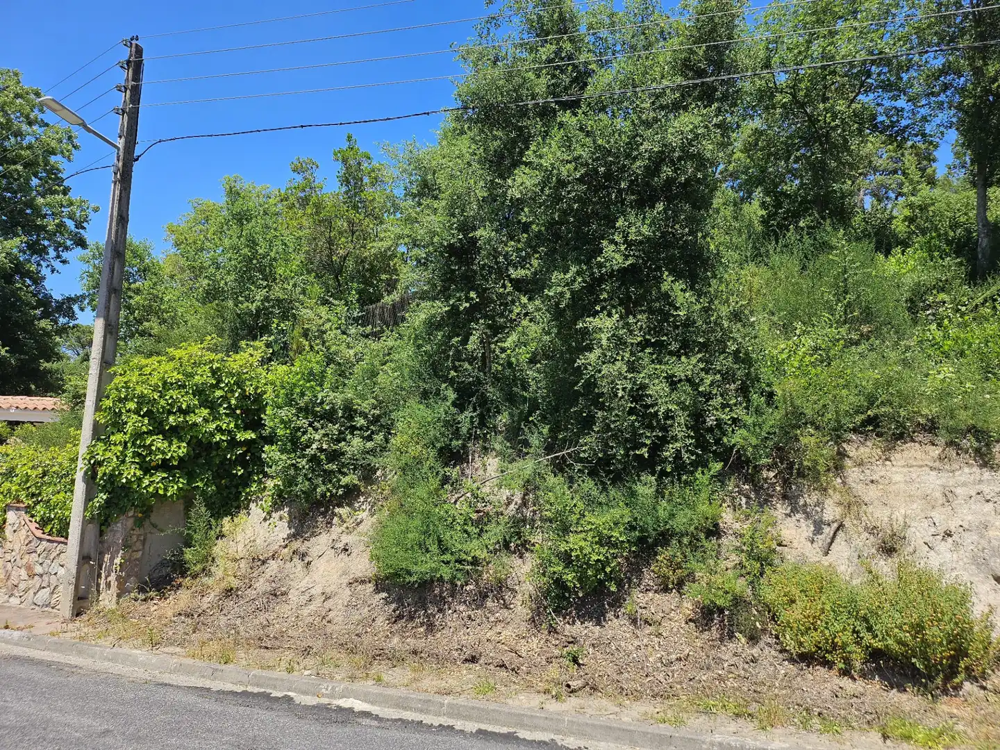 Terreno residencial en venta en Carrer Alzina Surera 54, imagen 3
