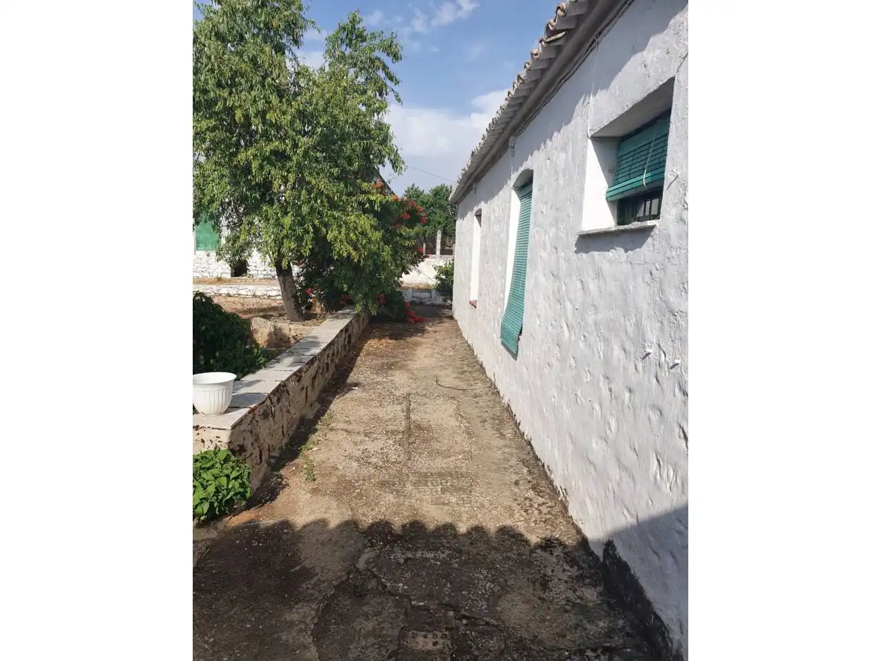 Vista exterior de Finca rústica en venta en Torreperogil