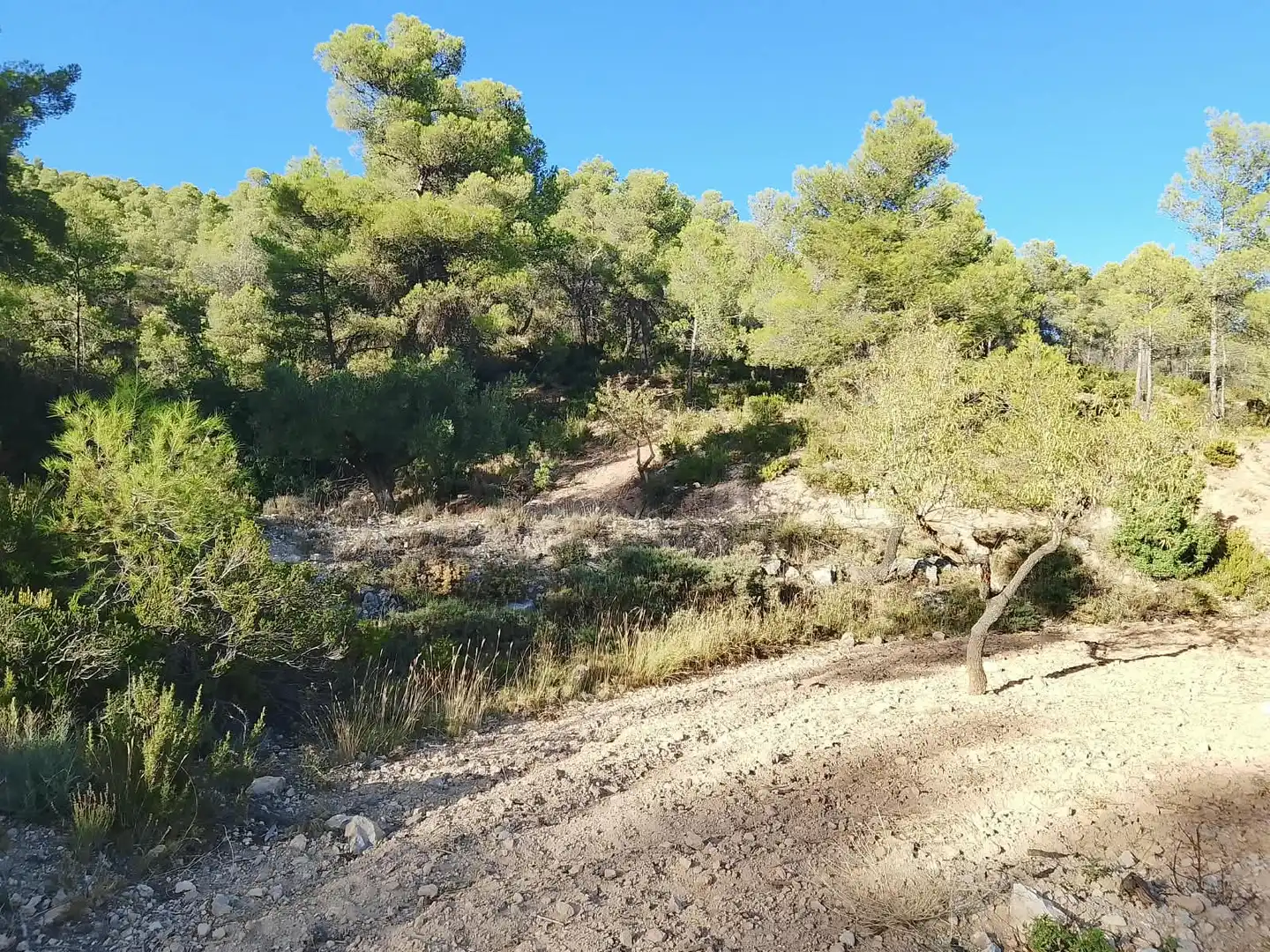Terreny rústic en venda a N/A, imagen 17