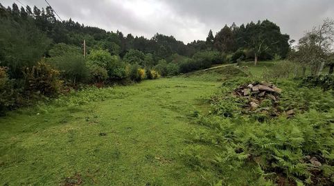 Photo 3 of Residential for sale in Moraña, Pontevedra