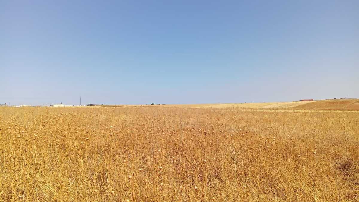 Residencial en venda en Zamora Capital 